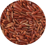GABA