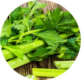 Fresh celery, a source of luteolin