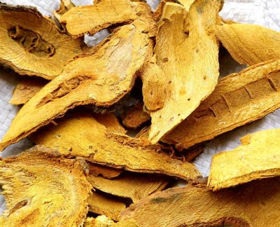 Dried Polygonum cuspidatum root, a source of resveratrol